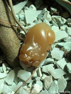 正宗新疆蜜糖和田玉